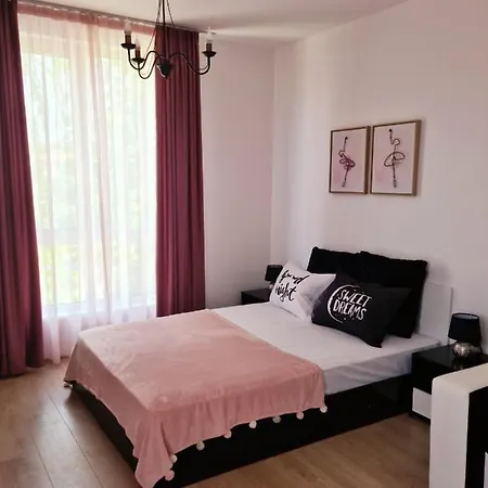 Rose Studio Apartment